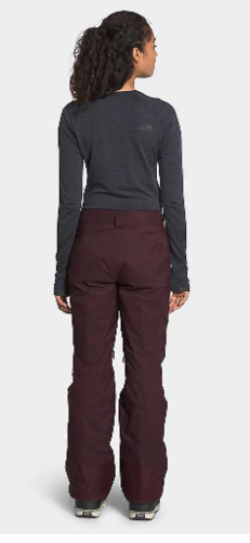 the north face freedom pant womens